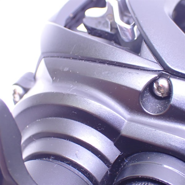 １９タトゥーラＴＷ１００ＳＨＬ